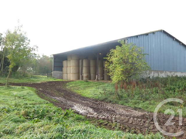 Afficher la photo en grand maison à vendre - 6 pièces - 139.2 m2 - LA VESPIERE FRIARDEL - 14 - BASSE-NORMANDIE - Century 21 Christophe Duclos