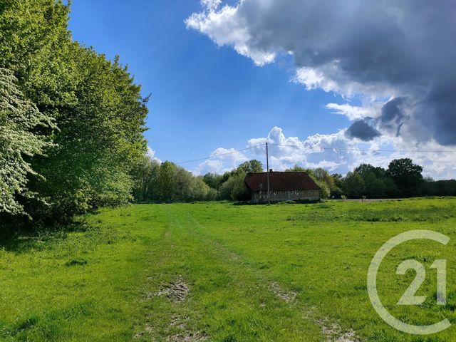 terrain à vendre - 4000.0 m2 - LA CHAPELLE HARENG - 27 - HAUTE-NORMANDIE - Century 21 Christophe Duclos terrain à vendre - 4000.0 m2 - LA CHAPELLE HARENG - 27 - HAUTE-NORMANDIE - Century 21 Christophe Duclos
