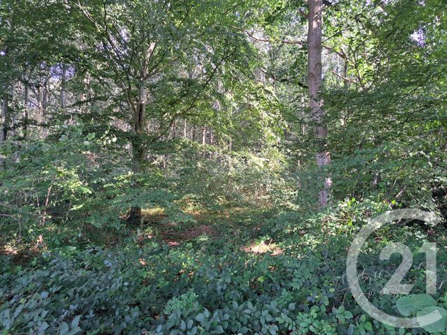 terrain à vendre - 5200000.0 m2 - ORBEC - 14 - BASSE-NORMANDIE - Century 21 Christophe Duclos