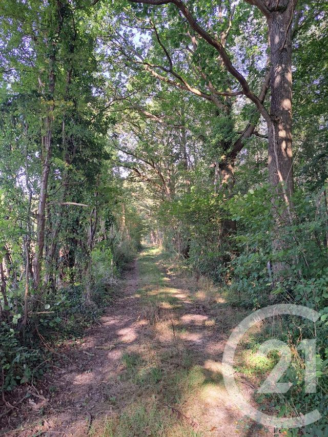 terrain à vendre - 5200000.0 m2 - ORBEC - 14 - BASSE-NORMANDIE - Century 21 Christophe Duclos