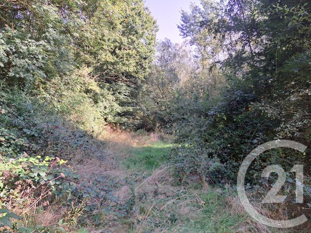 terrain à vendre - 5200000.0 m2 - ORBEC - 14 - BASSE-NORMANDIE - Century 21 Christophe Duclos