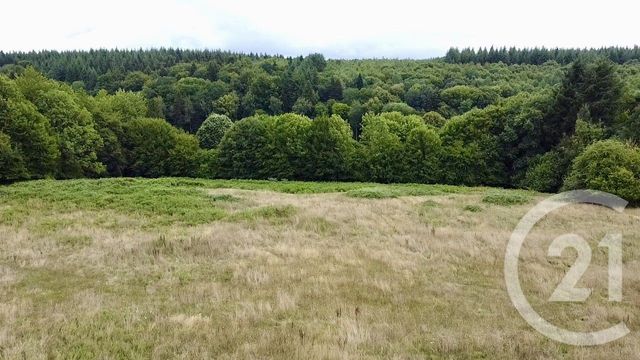 Afficher la photo en grand maison à vendre - 3 pièces - 106.0 m2 - ORBEC - 14 - BASSE-NORMANDIE - Century 21 Christophe Duclos