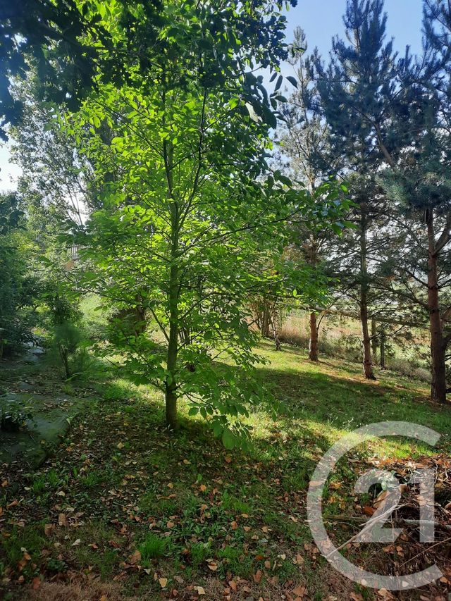 Afficher la photo en grand maison à vendre - 5 pièces - 120.0 m2 - ORBEC - 14 - BASSE-NORMANDIE - Century 21 Christophe Duclos