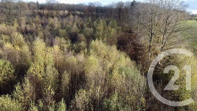 terrain à vendre - 100000.0 m2 - ORBEC - 14 - BASSE-NORMANDIE - Century 21 Christophe Duclos