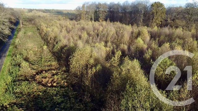 terrain à vendre - 100000.0 m2 - ORBEC - 14 - BASSE-NORMANDIE - Century 21 Christophe Duclos