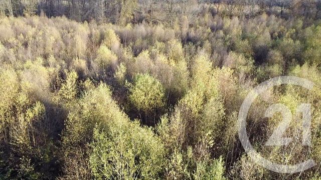 terrain à vendre - 100000.0 m2 - ORBEC - 14 - BASSE-NORMANDIE - Century 21 Christophe Duclos