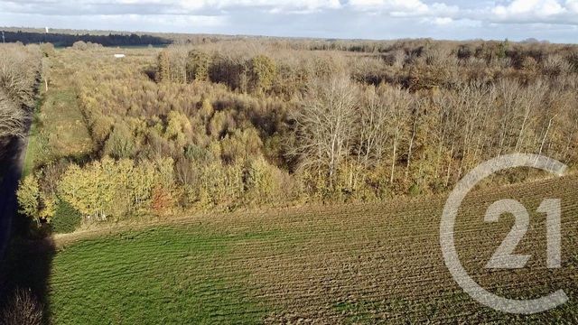 Terrain à vendre ORBEC