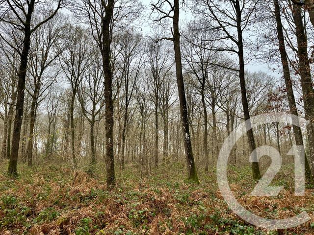 terrain à vendre - 420000.0 m2 - ORBEC - 14 - BASSE-NORMANDIE - Century 21 Christophe Duclos