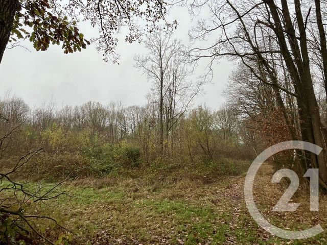 terrain à vendre - 420000.0 m2 - ORBEC - 14 - BASSE-NORMANDIE - Century 21 Christophe Duclos