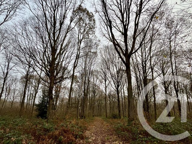 terrain à vendre - 420000.0 m2 - ORBEC - 14 - BASSE-NORMANDIE - Century 21 Christophe Duclos