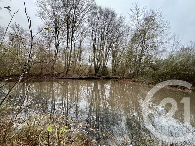 terrain à vendre - 420000.0 m2 - ORBEC - 14 - BASSE-NORMANDIE - Century 21 Christophe Duclos