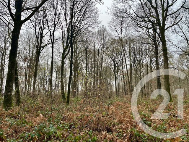 terrain à vendre - 420000.0 m2 - ORBEC - 14 - BASSE-NORMANDIE - Century 21 Christophe Duclos
