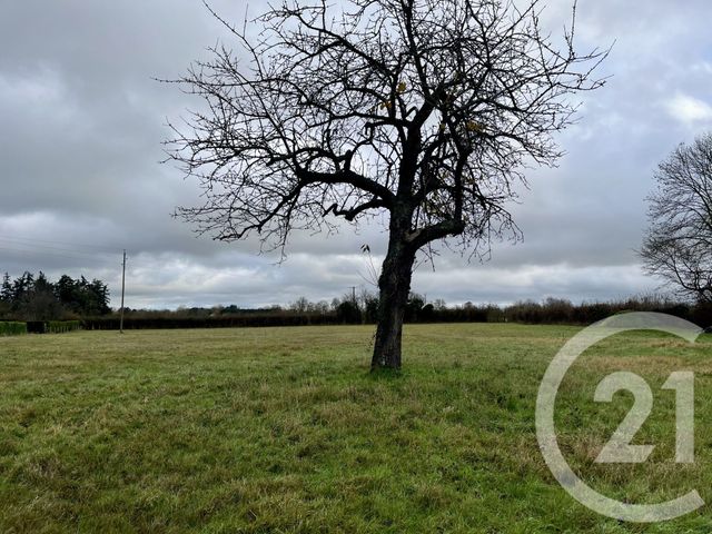 terrain à vendre - 6000.0 m2 - ST GERMAIN LA CAMPAGNE - 27 - HAUTE-NORMANDIE - Century 21 Christophe Duclos